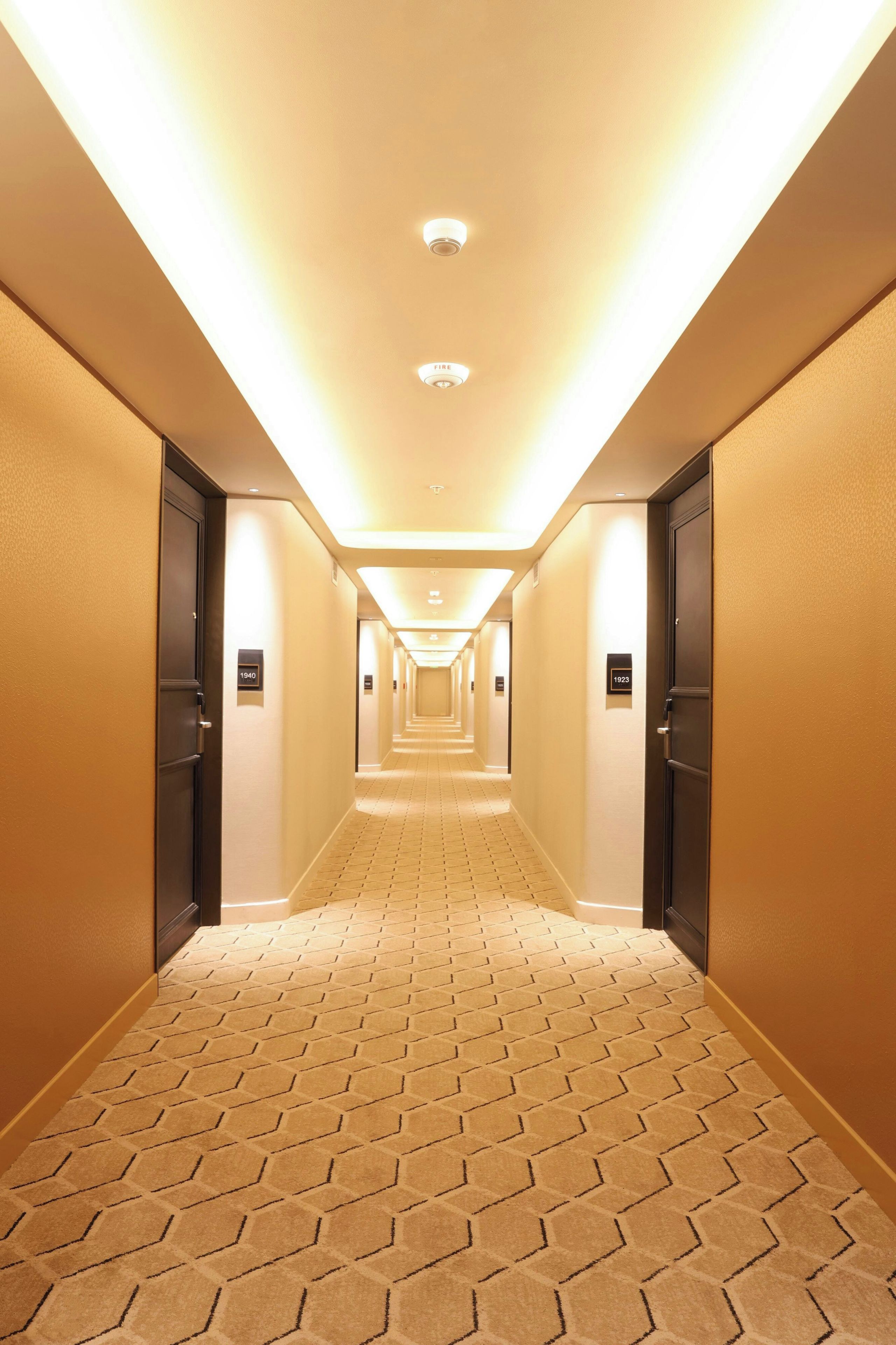 A hotel hallway with a carpeted floor, doors on both sides, and a ceiling light fixture.
