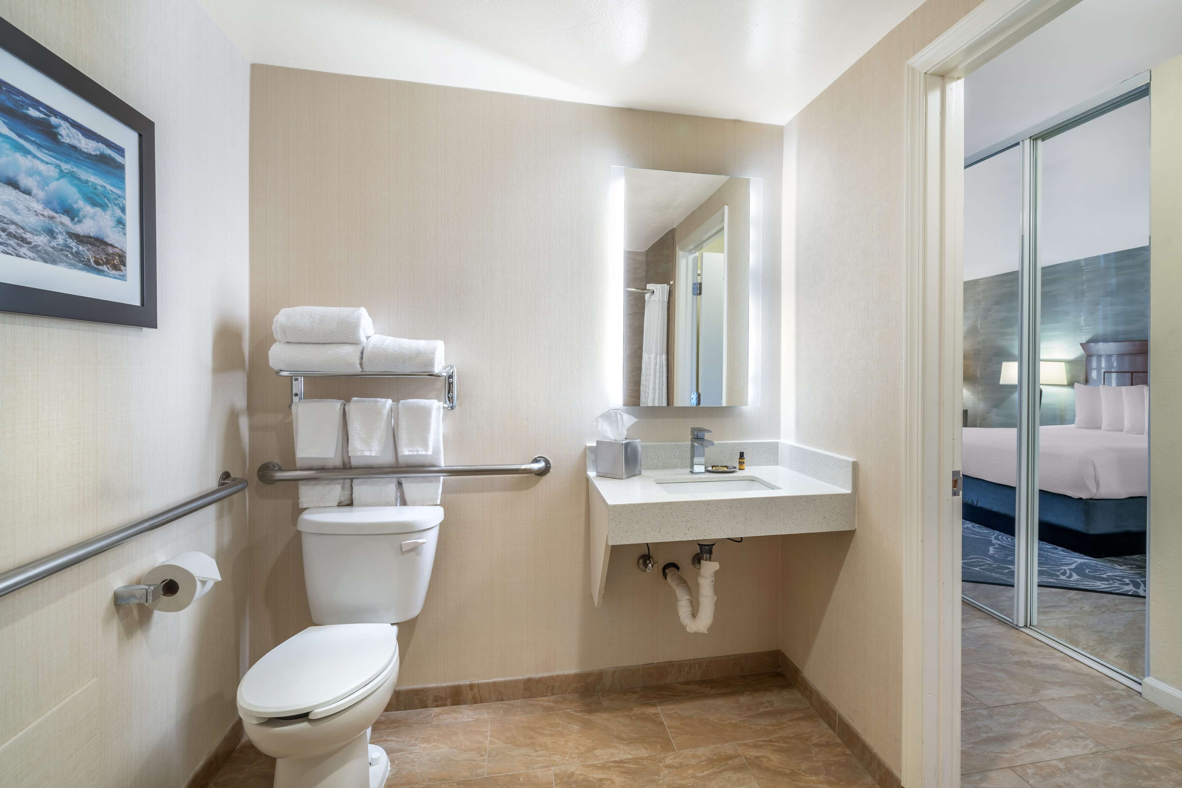 A modern bathroom with a toilet, handrails, a sink, and a mirror.