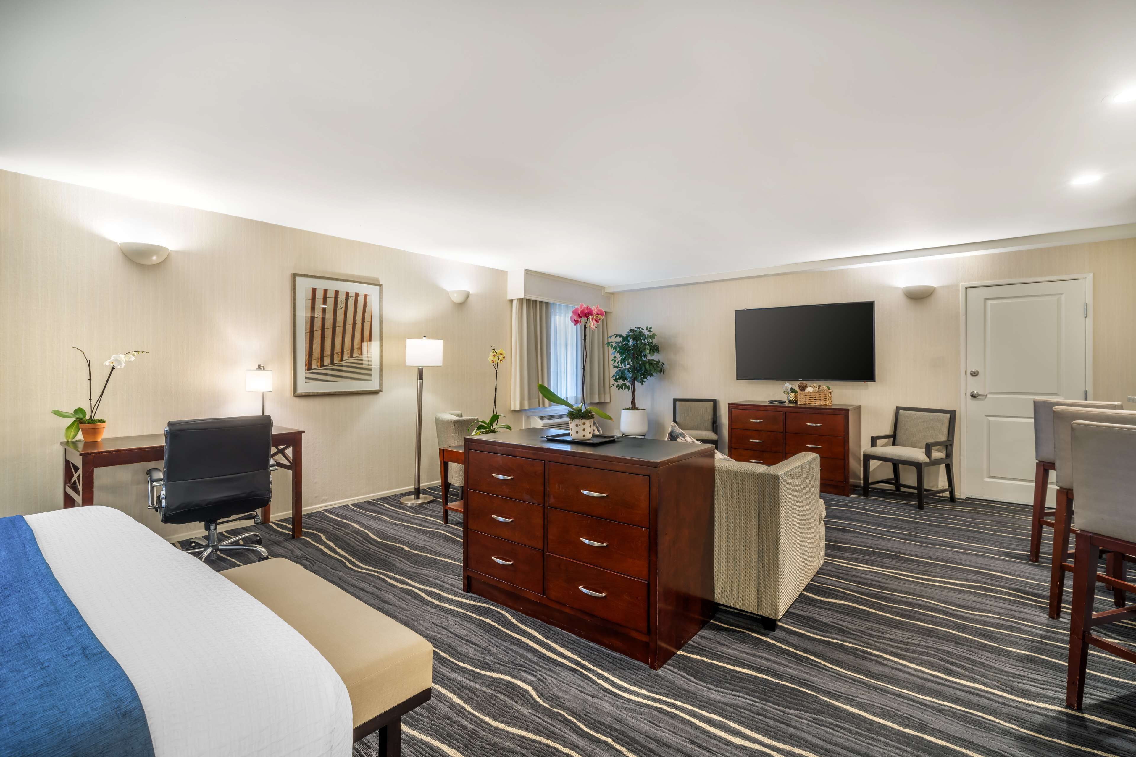 A hotel room with a bed, desk, chair, dresser, TV, and a plant.