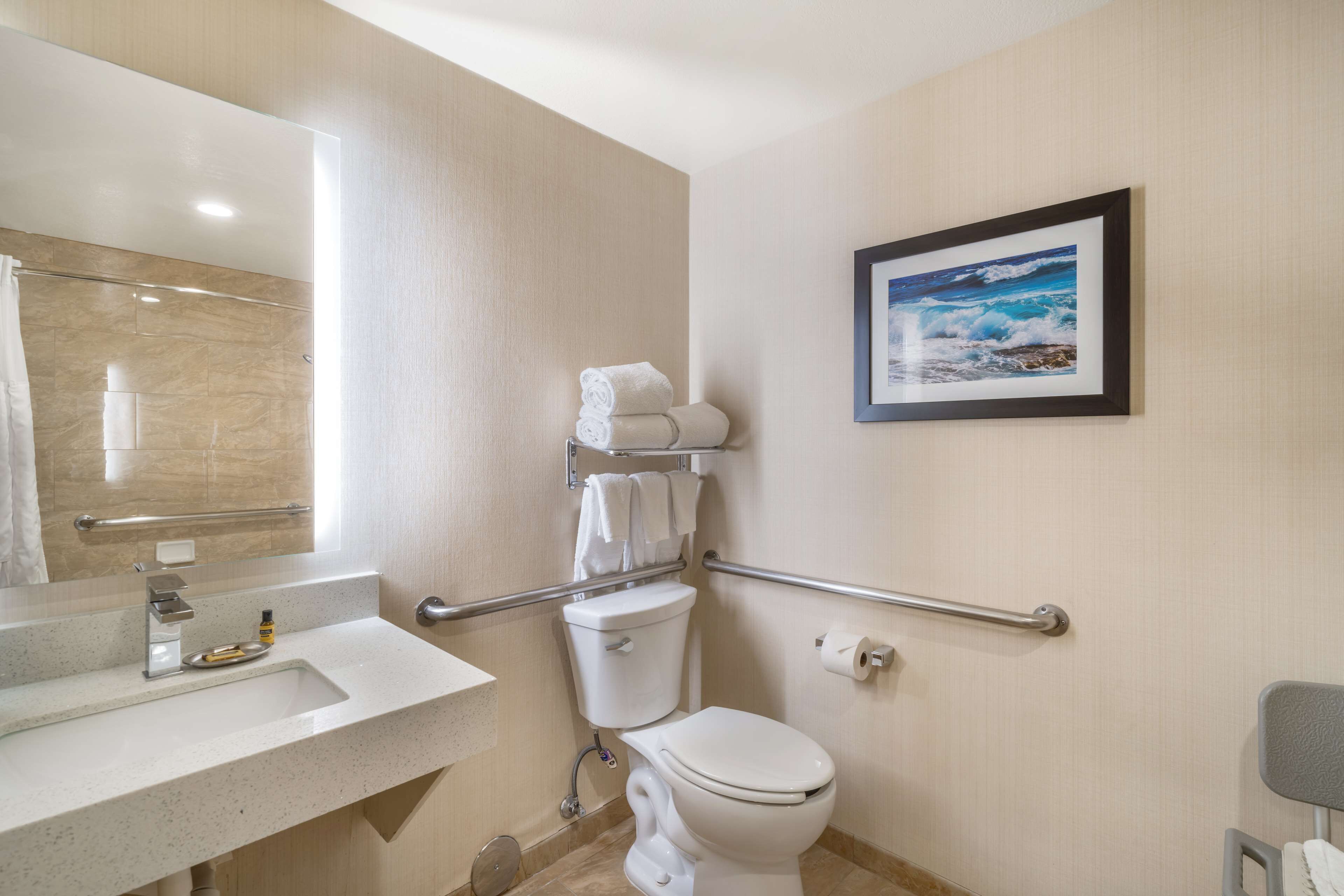 A bathroom with a toilet, sink, and handrails.