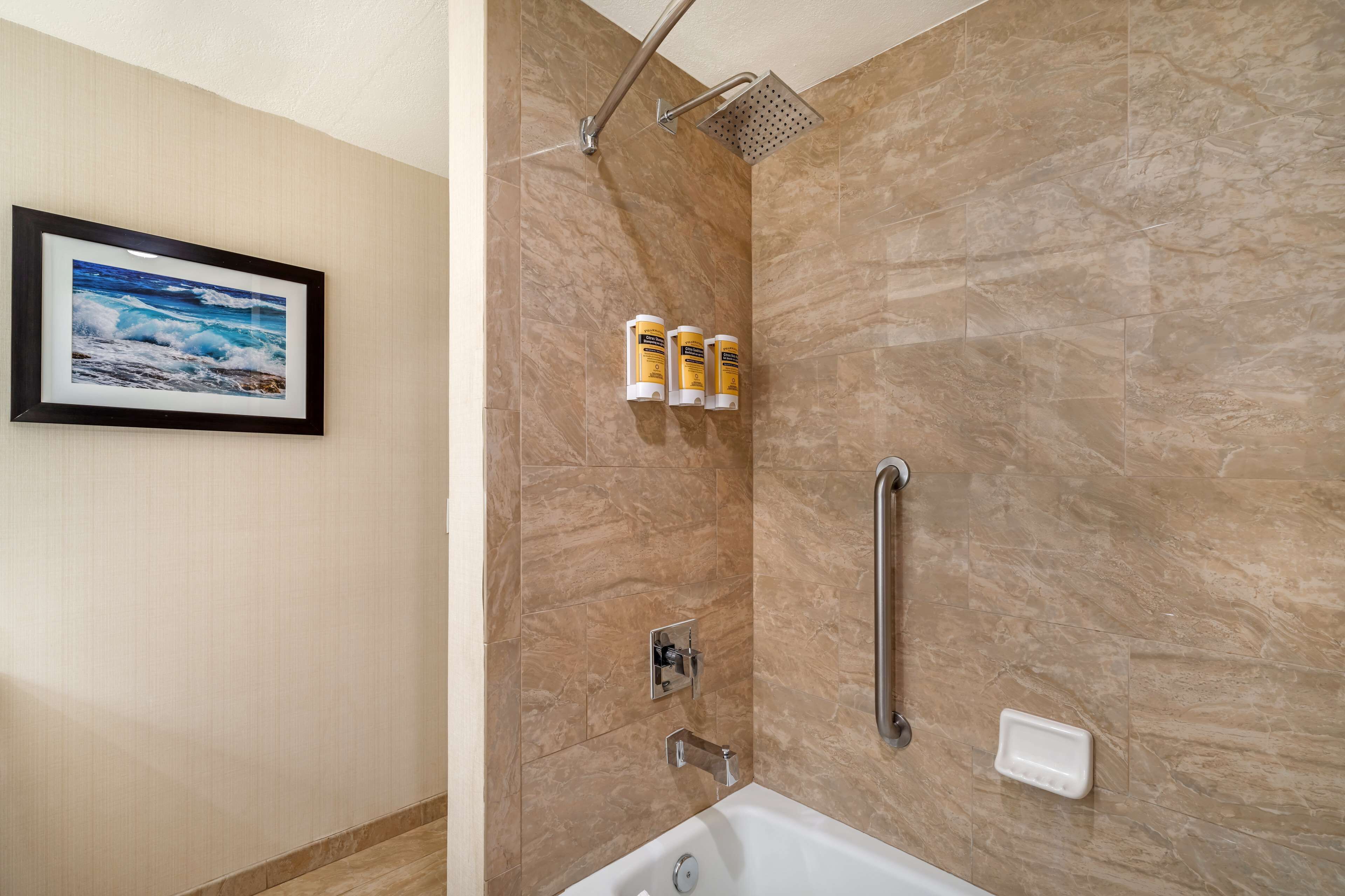A bathroom with a bathtub, a shower with a handheld showerhead, and a framed picture on the wall.