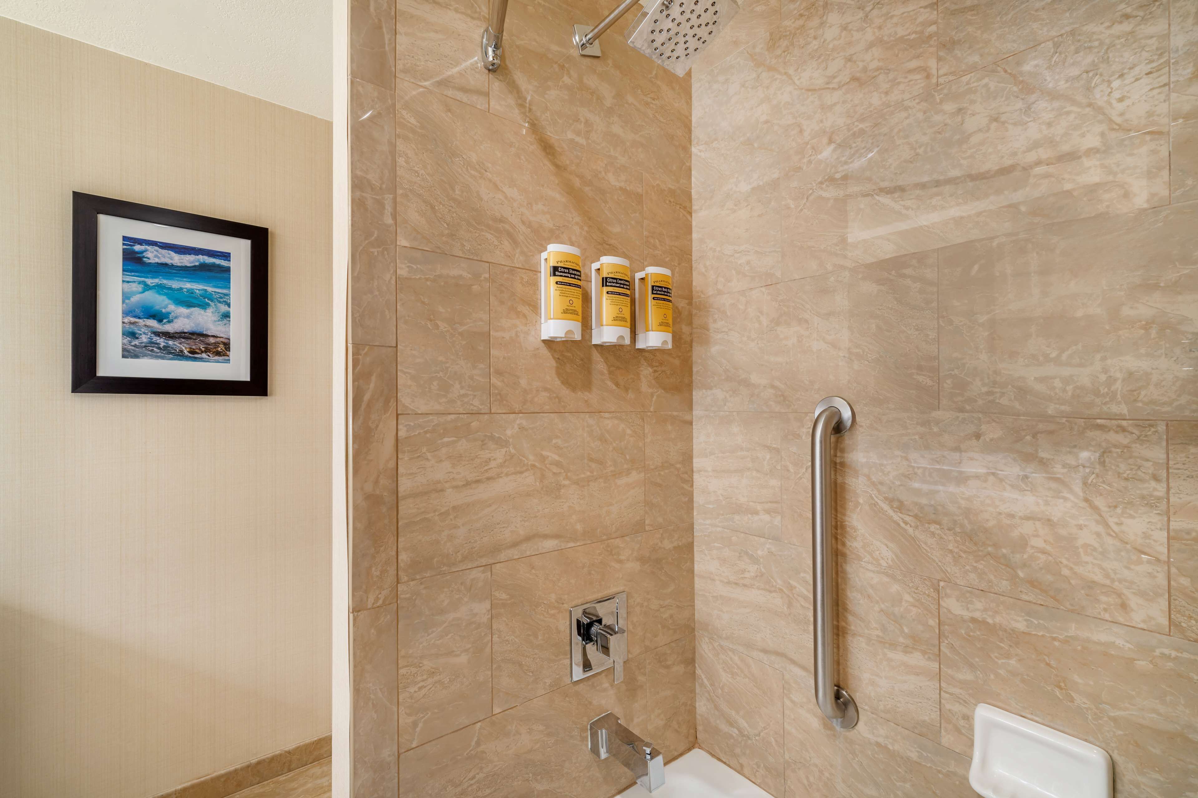 Een douche met een handgreep, een ingelijst schilderij aan de muur, en drie flessen shampoo.