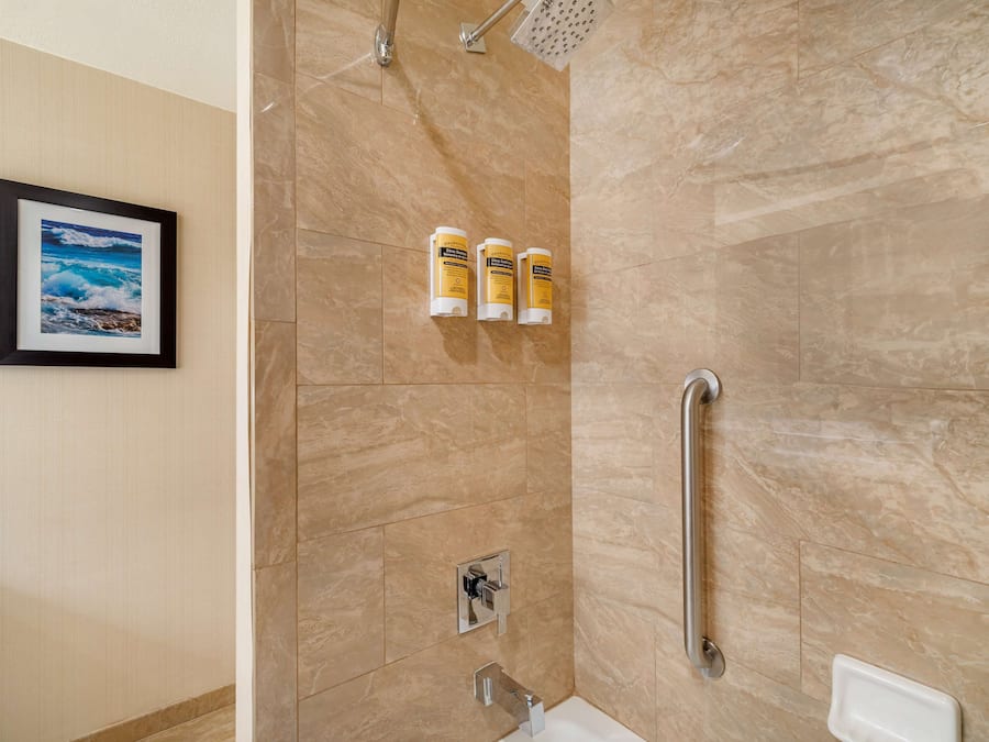 A shower with a handrail, a framed picture on the wall, and three bottles of shampoo.