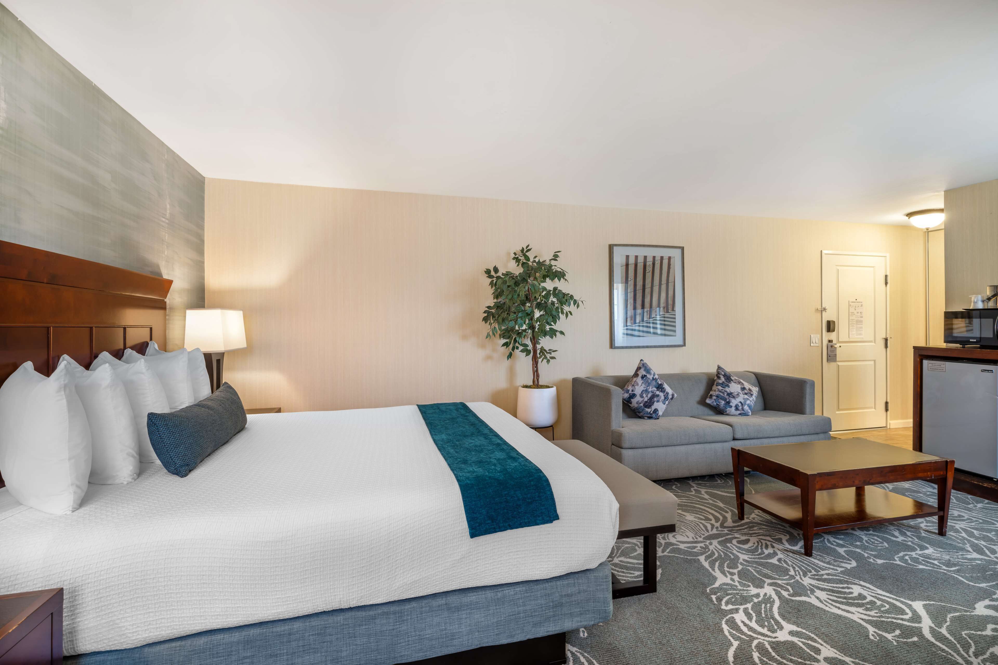 A hotel room with a large bed, a sofa, a coffee table, a desk, and a potted plant.