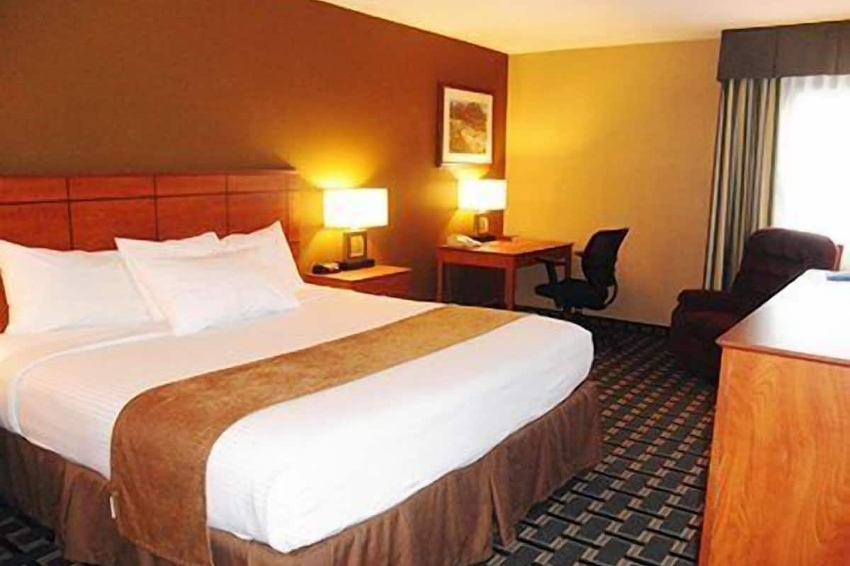 standard room, 1 king bed, non smoking | desk, iron/ironing board, cots/infant beds, rollaway beds