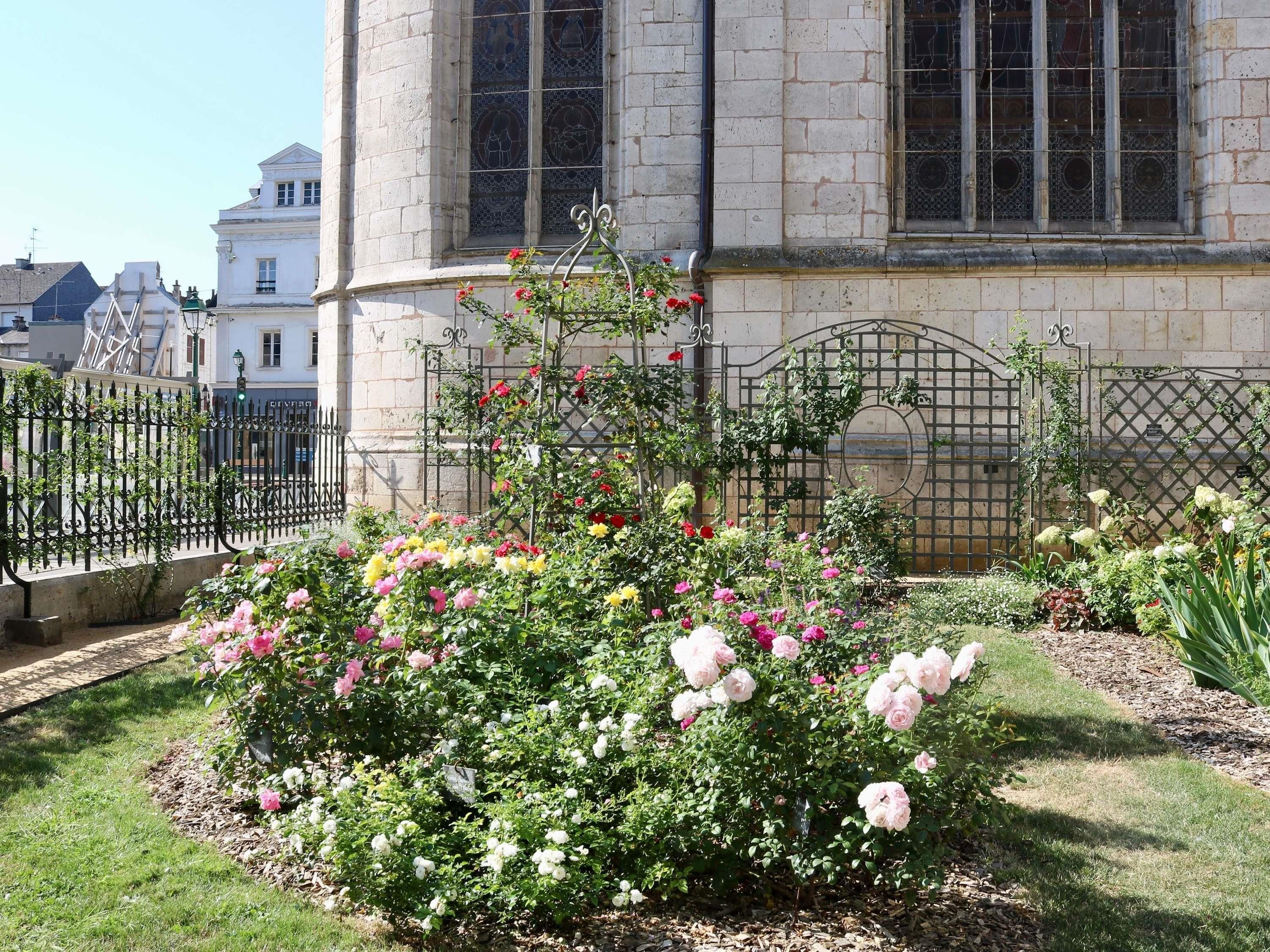 Un jardín con plantas en flor y una reja de hierro forjado frente a un edificio con grandes ventanales.