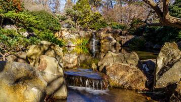 Un jardin paisible avec une petite cascade, de gros rochers et différentes espèces de plantes.