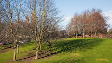 Un espace vert avec de l’herbe, des arbres et un ciel dégagé.