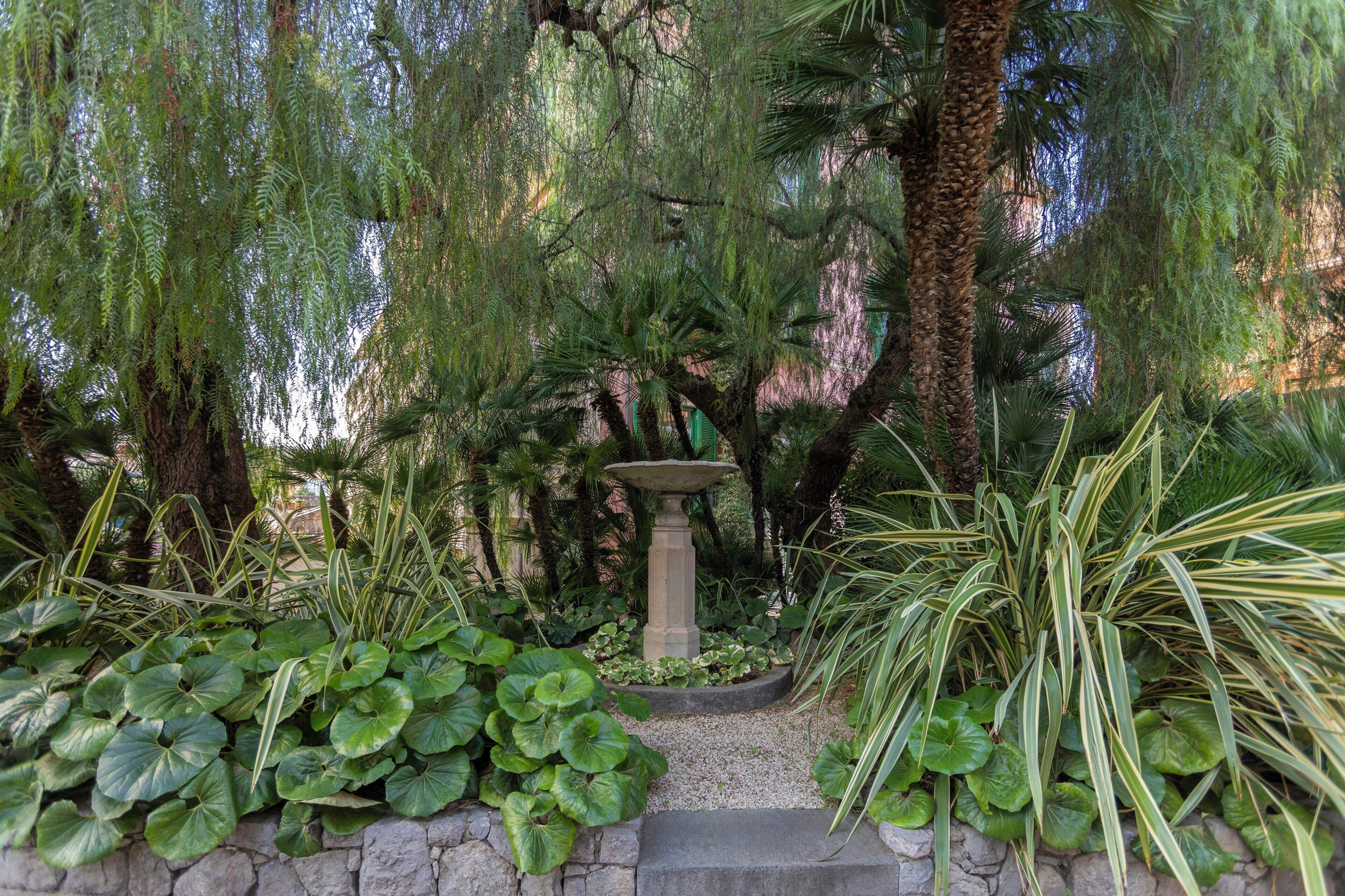 A garden with a stone wall, a central stone fountain, and various tropical plants.