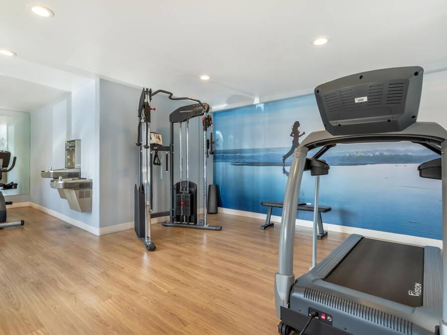 Un gimnasio con máquinas de cardio, equipo de entrenamiento de pesas y un gran mural en la pared con una playa.