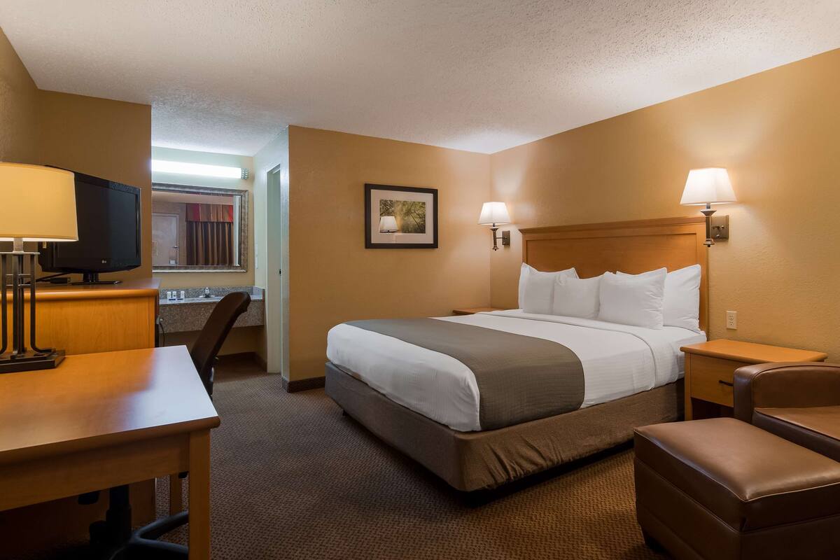 A hotel room with a bed, a desk, a chair, a TV, and a lamp.
