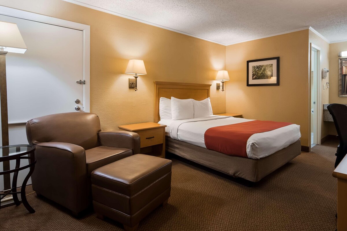 A hotel room with a bed, a desk, a chair, a small table, and a lamp.