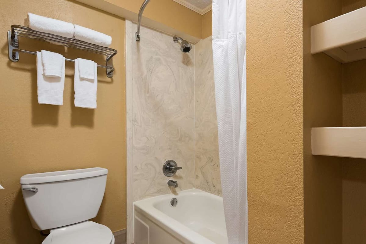 Bathroom | Combined shower/tub, hydromassage showerhead, free toiletries