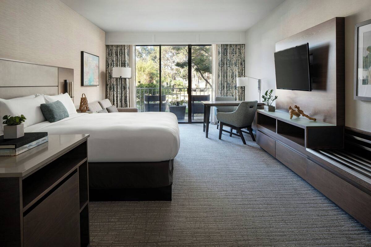 A hotel room with a large bed, a desk, a chair, a TV, and a balcony with a view of trees.