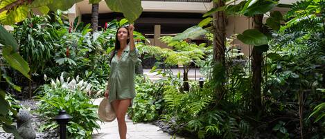 A lush indoor garden with a variety of tropical plants and a stone pathway.