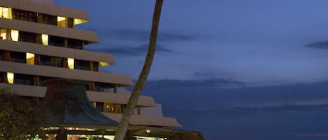 En palme foran et hotel med flere etager og udsigt til stranden.