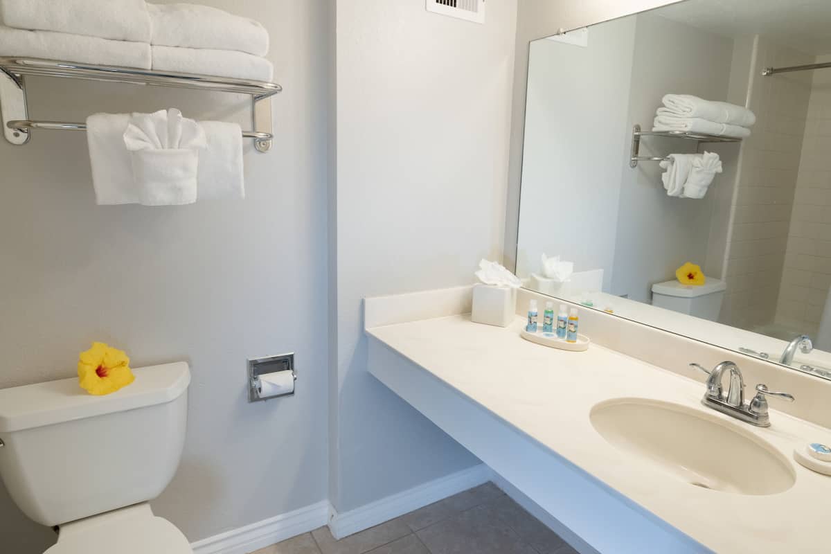 combined shower/bathtub, free toiletries, hair dryer, towels