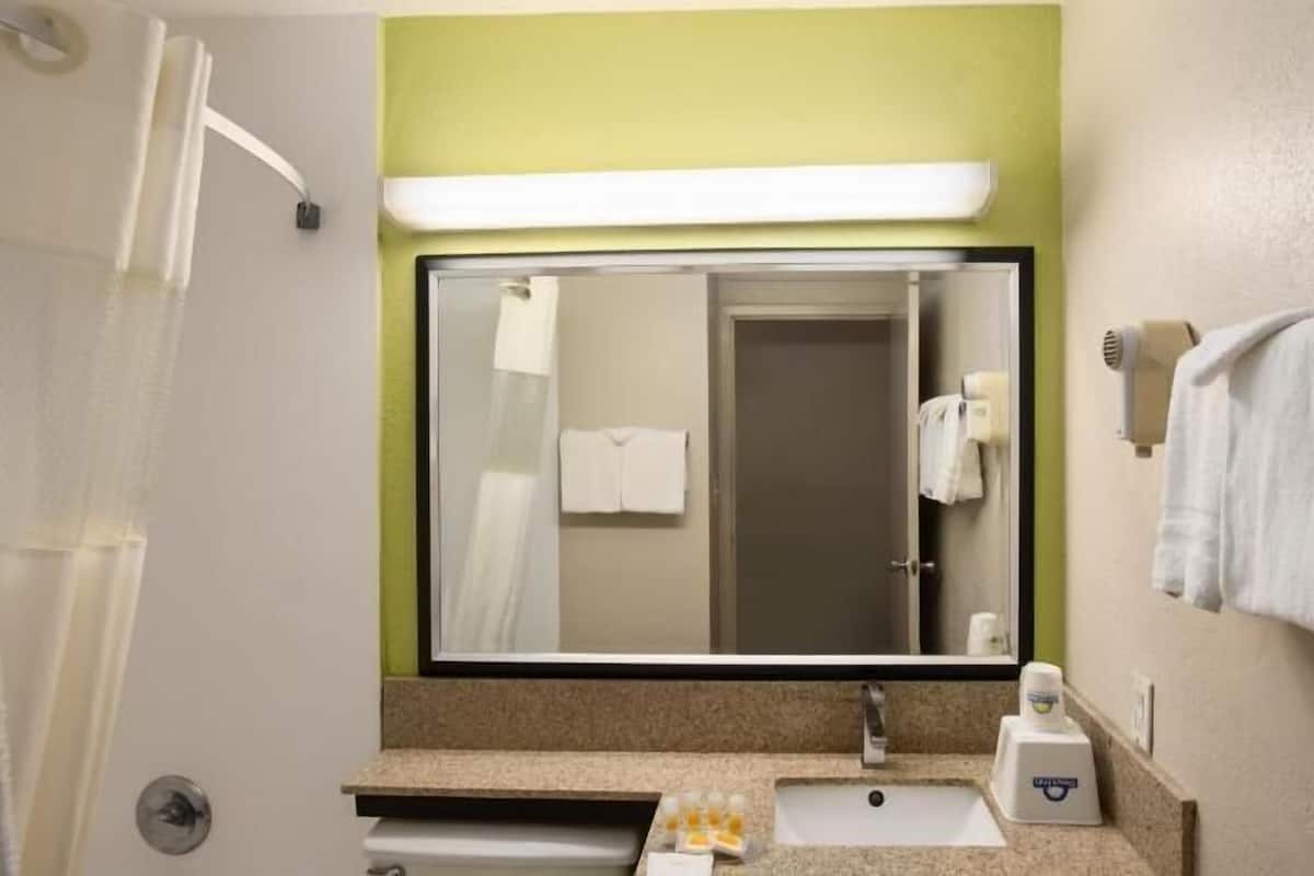 A bathroom with a sink, mirror, towel rack, and a hairdryer.
