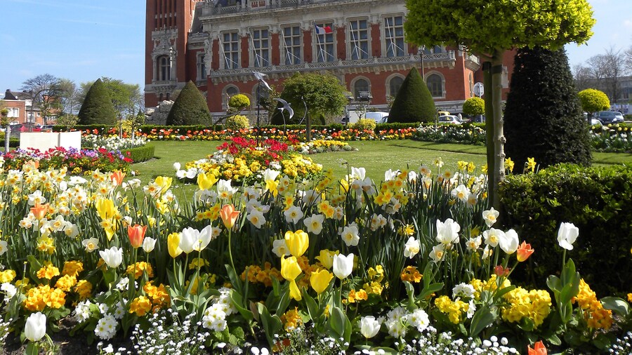 ibis Calais Car Ferry
