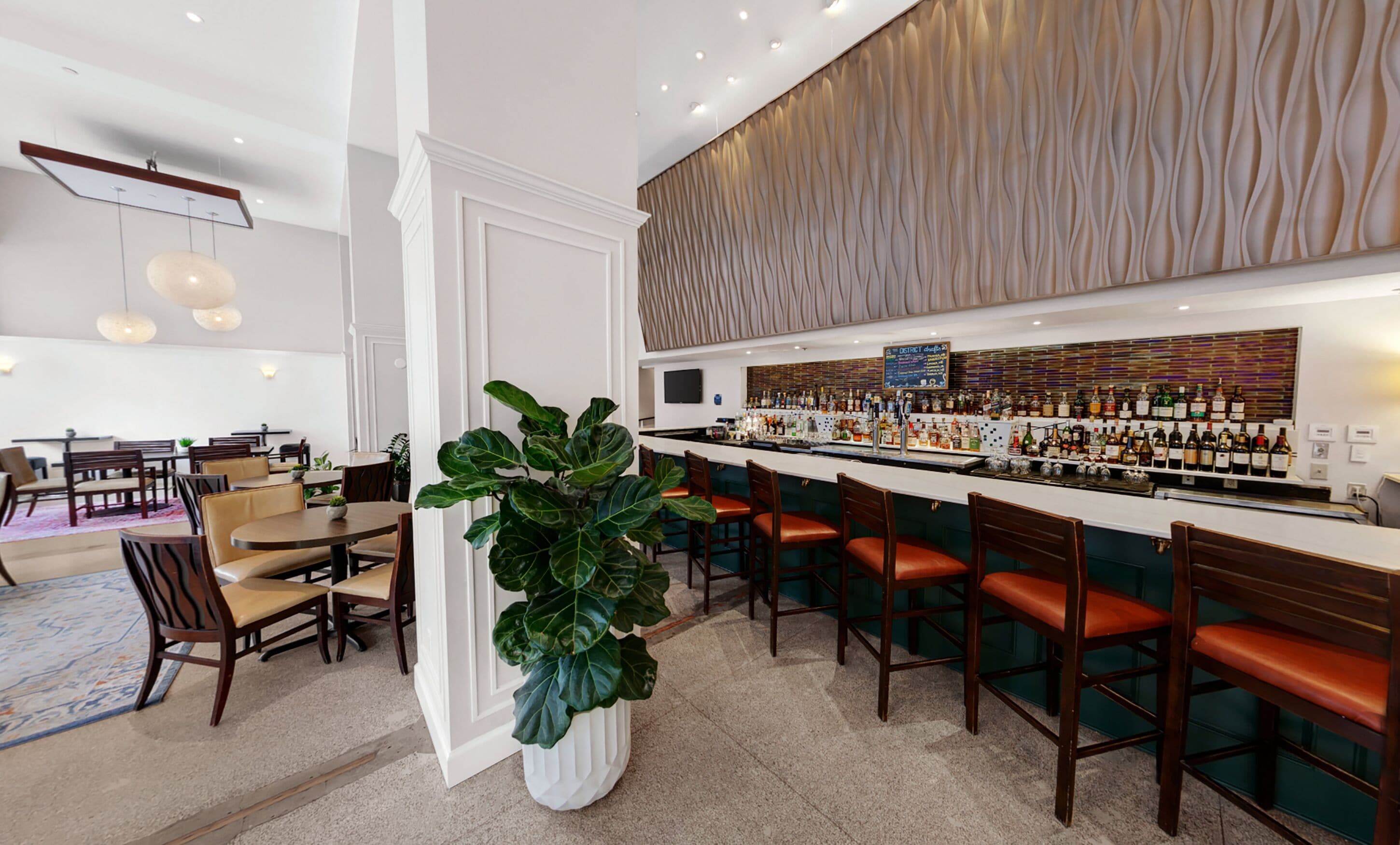 Un espace bar moderne avec un long comptoir, de nombreux tabourets et une grande plante en pot.