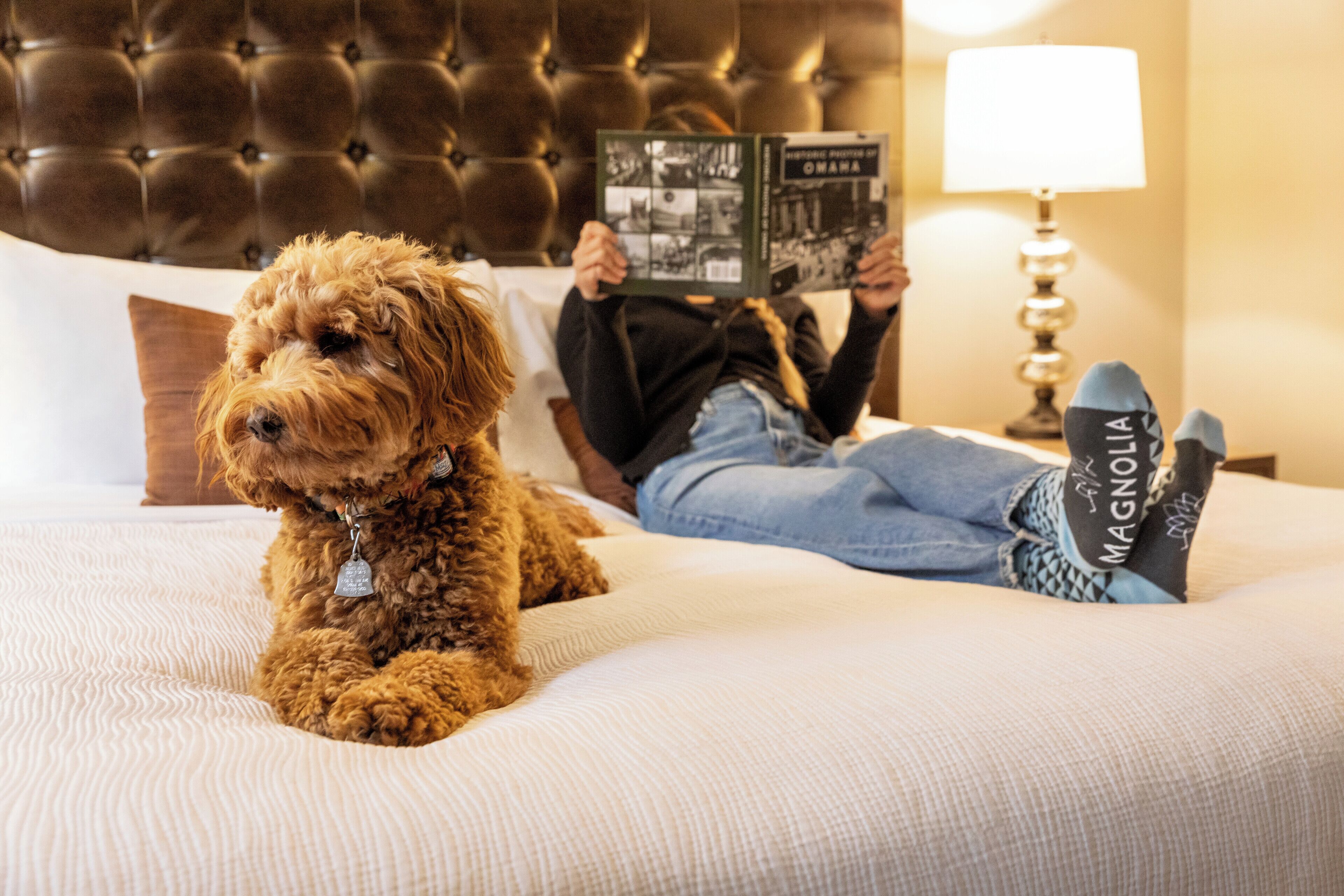 Pet-friendly