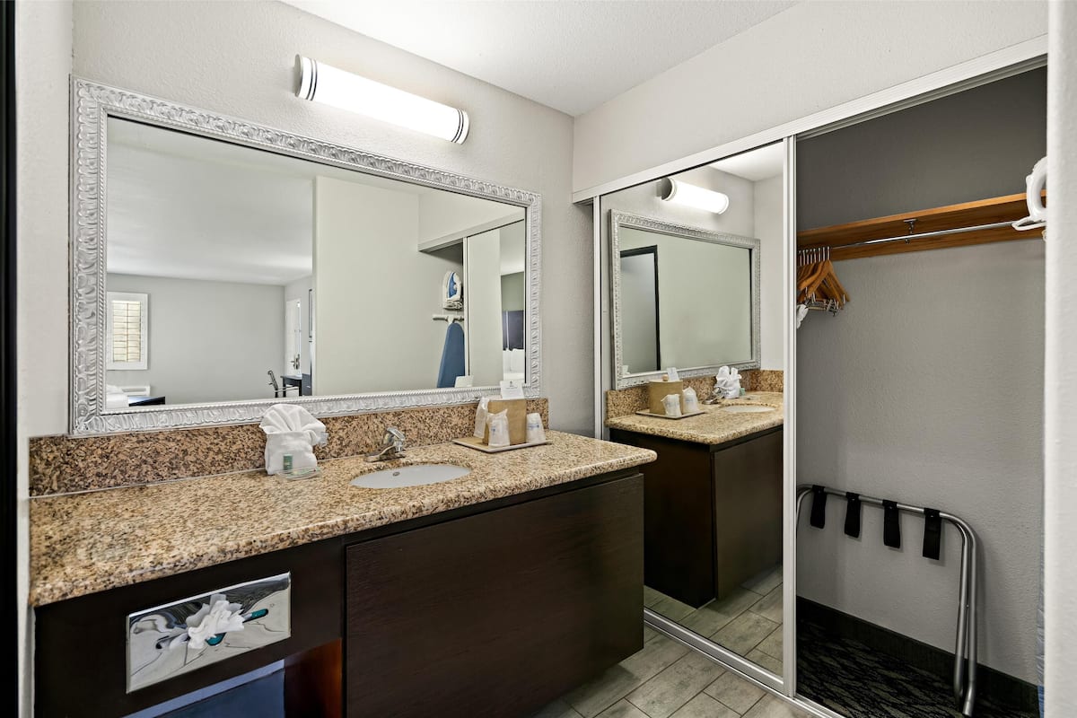 combined shower/bathtub, free toiletries, hair dryer, towels