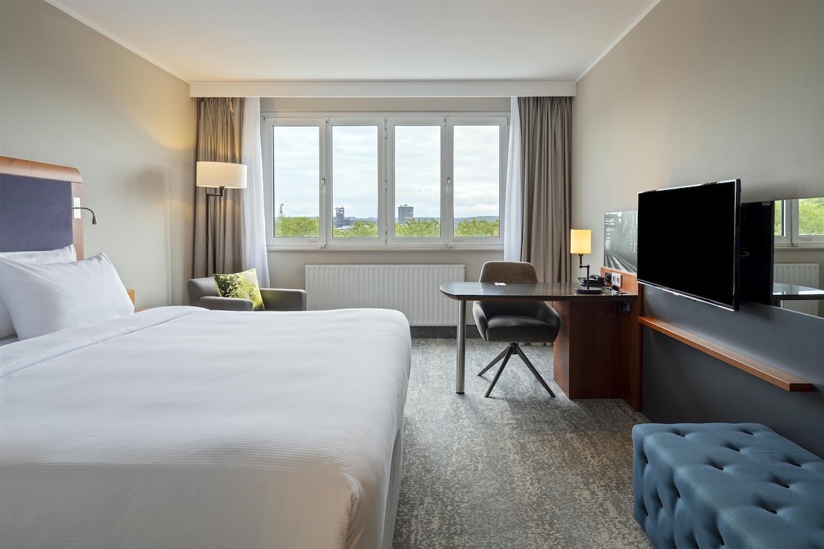 Habitación de hotel con una cama grande, un escritorio, una silla, un televisor y vistas al exterior.
