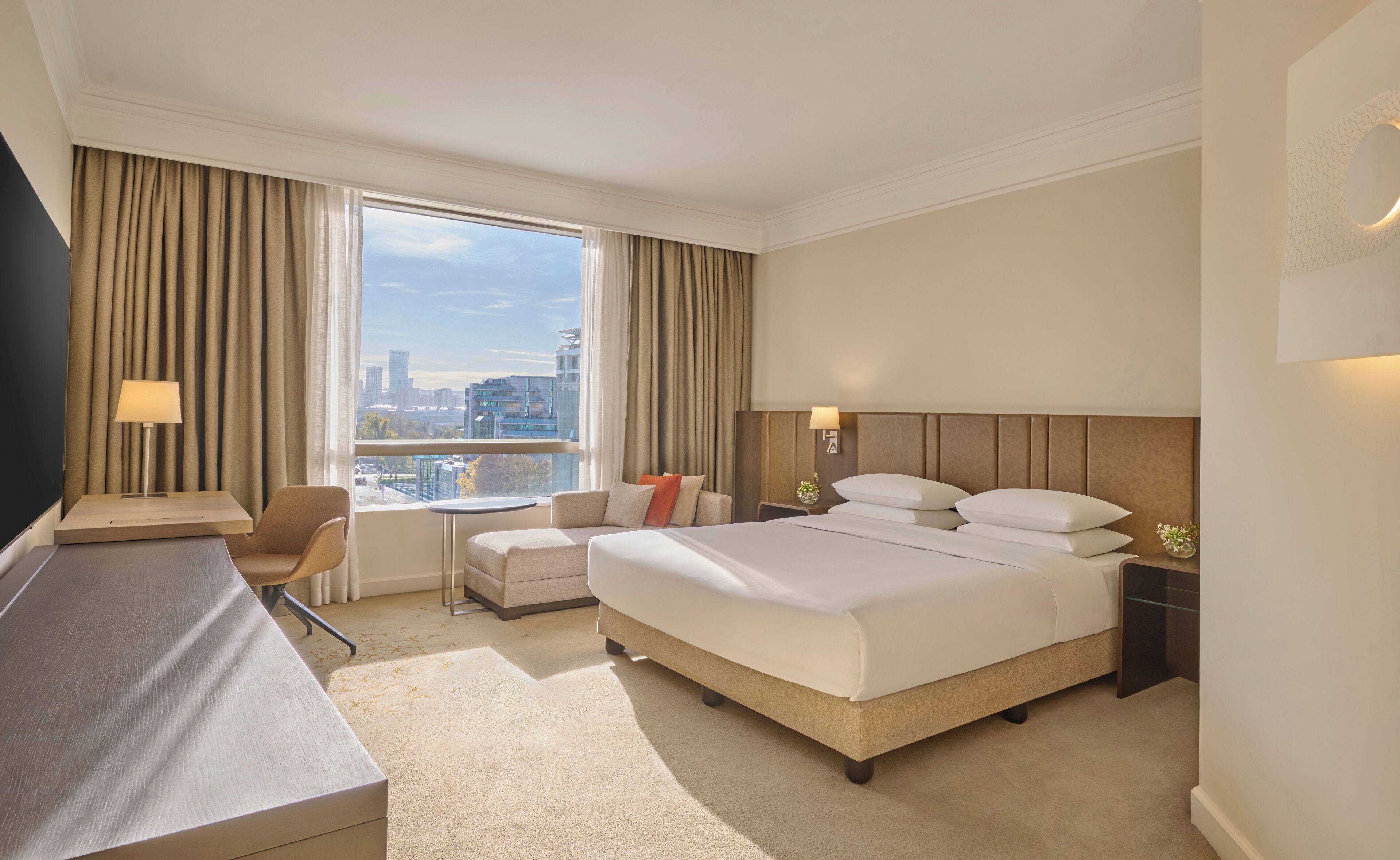 Room, 1 King Bed