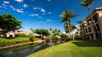 A hotel with a pool, palm trees, and a clear blue sky.