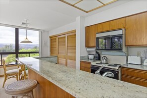 Großer Kühlschrank, Mikrowelle, Ofen, Herdplatte