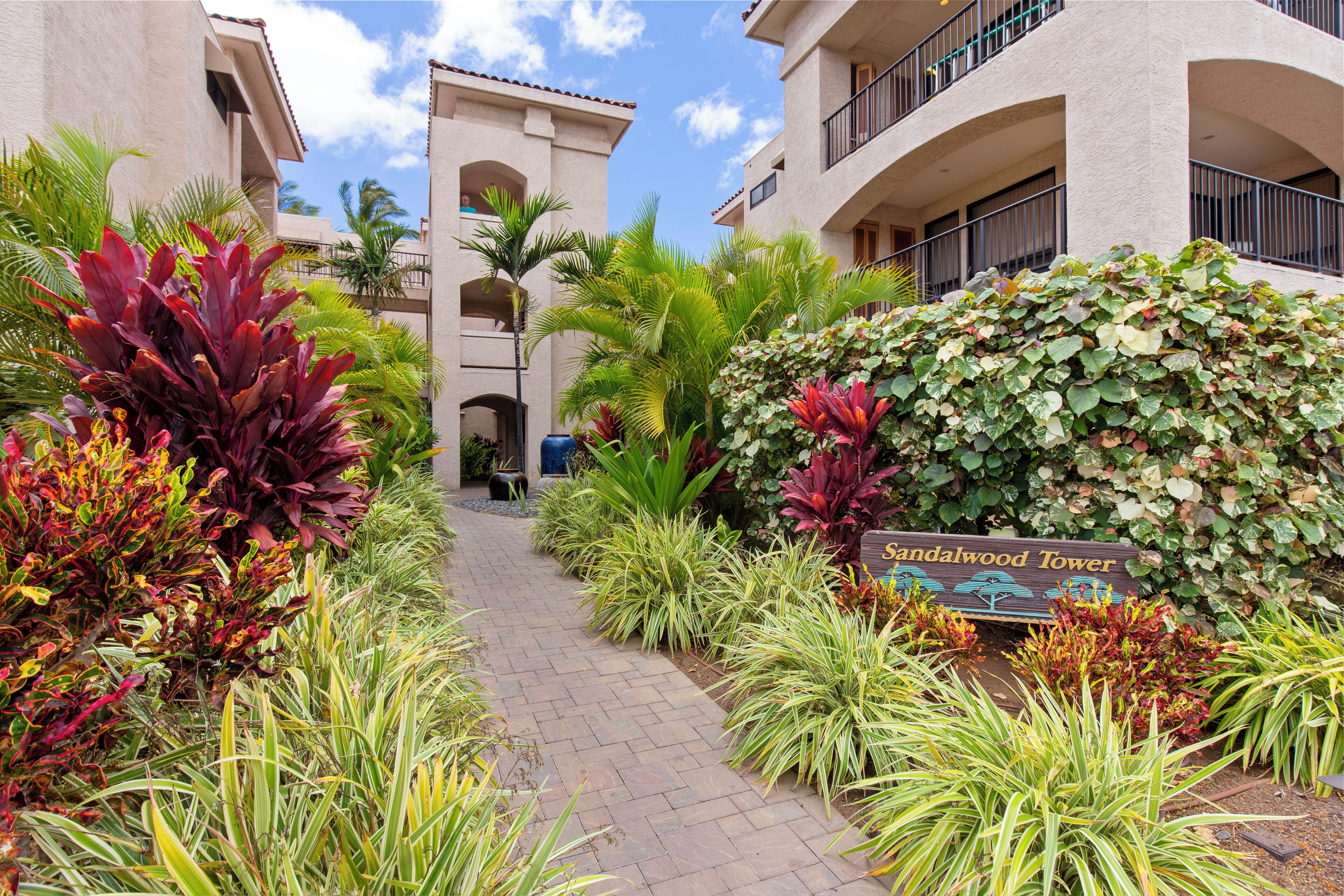 A paved pathway flanked by lush tropical plants and a sign reading "Sandalwood Tower."