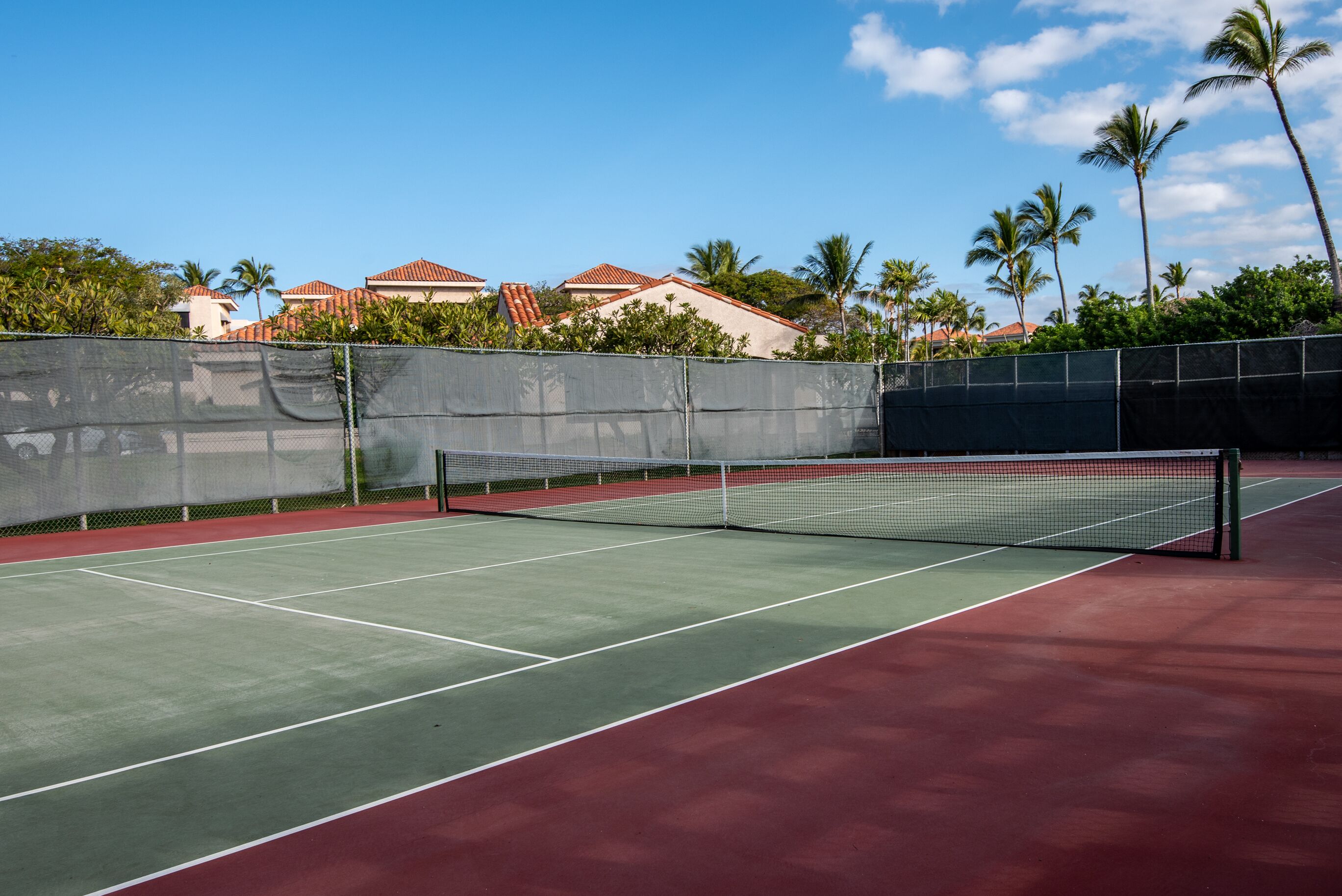 Una cancha de tenis con una red, rodeada por una valla y palmeras al fondo.