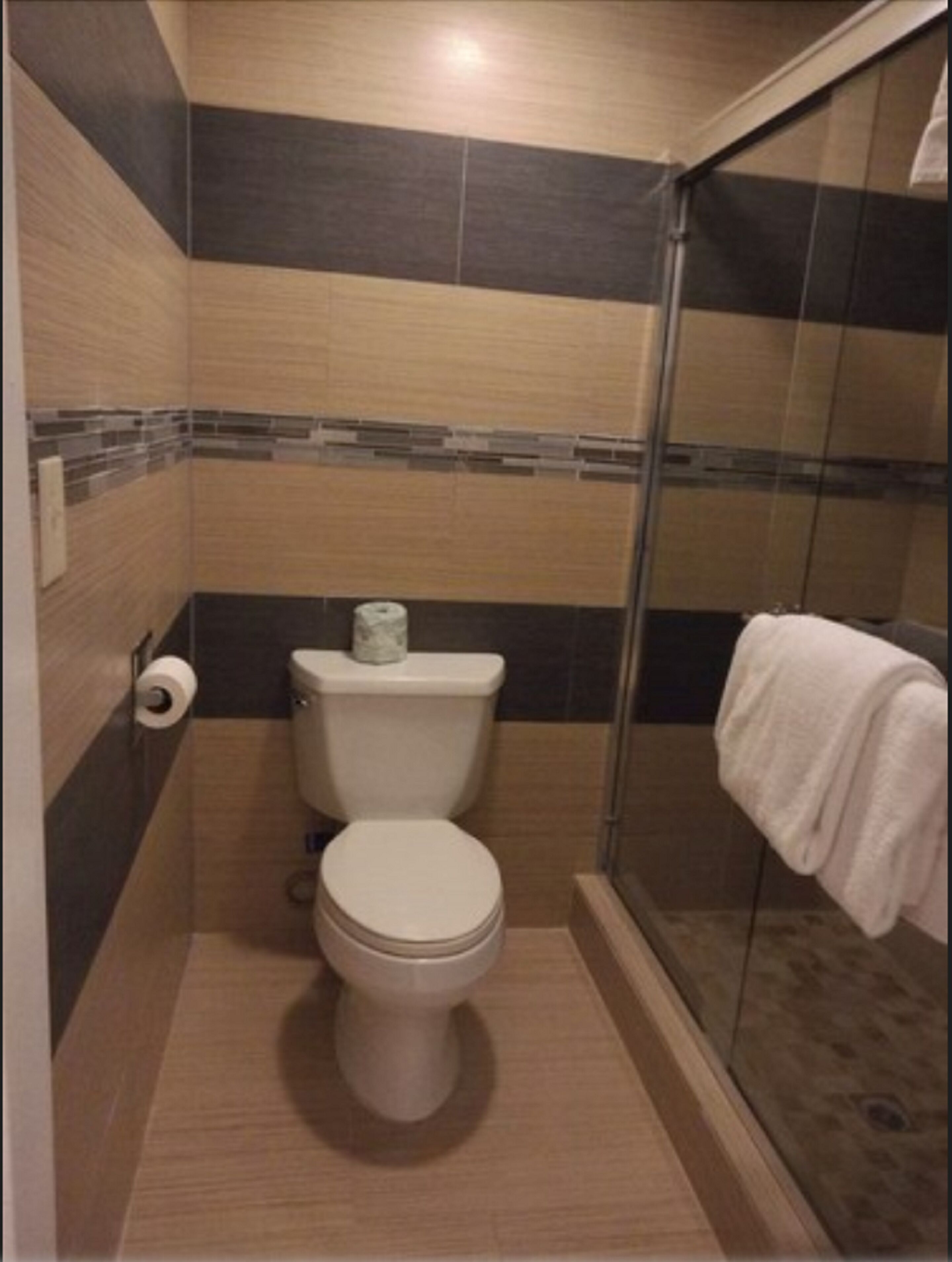 A small, modern bathroom with a toilet, a shower, and a towel rack.