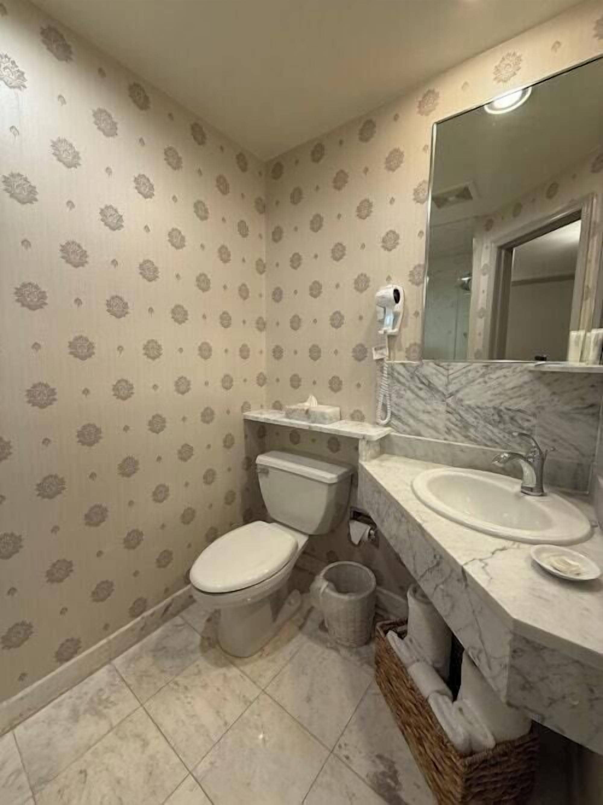 A bathroom with a toilet, sink, and mirror.