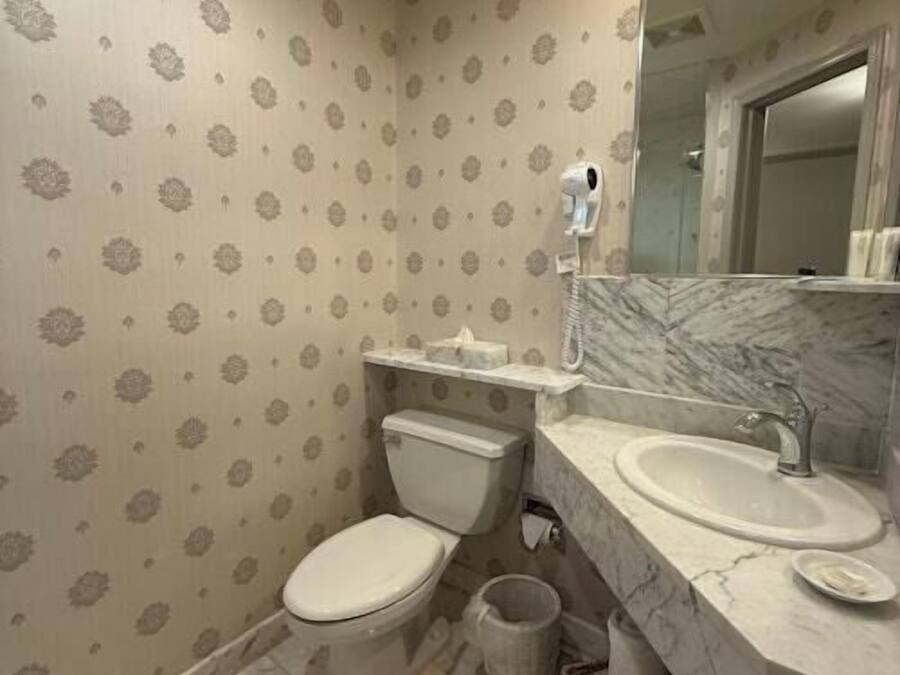 A bathroom with a toilet, sink, and mirror.