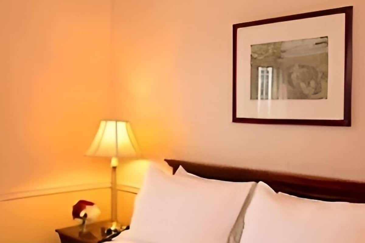 Habitación Deluxe | 1 habitación, ropa de cama de alta calidad y edredón