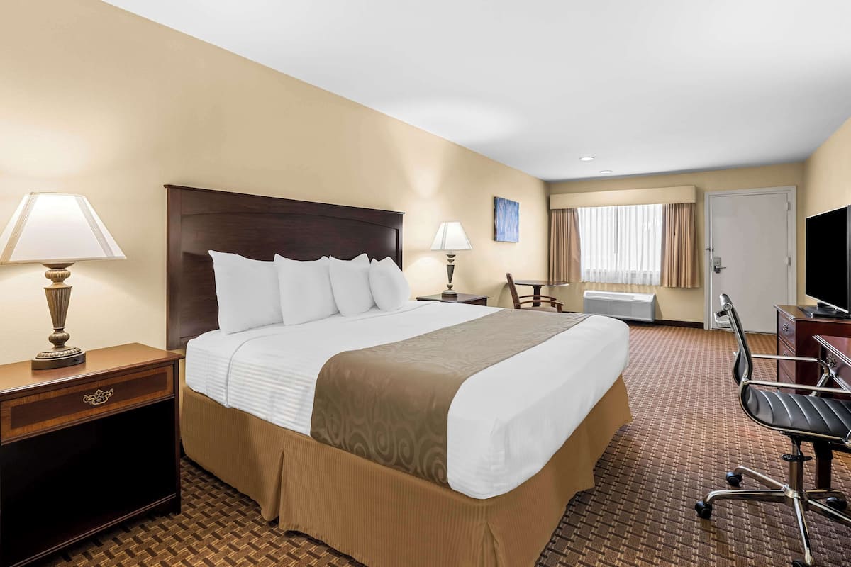 Une chambre d’hôtel avec un grand lit, des tables de chevet, un bureau avec une chaise, une télévision et une fenêtre avec des rideaux.