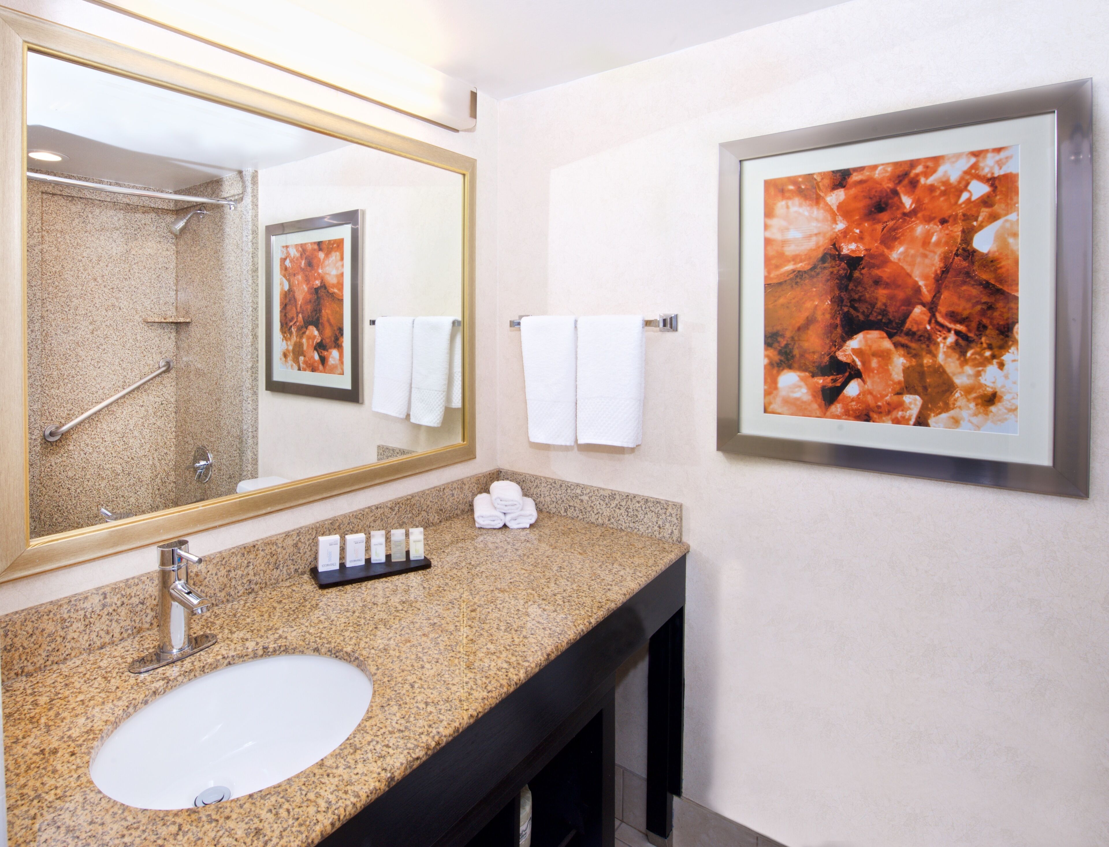 Une salle de bain avec un comptoir en granit, un lavabo, un miroir, une douche et deux tableaux encadrés accrochés au mur.