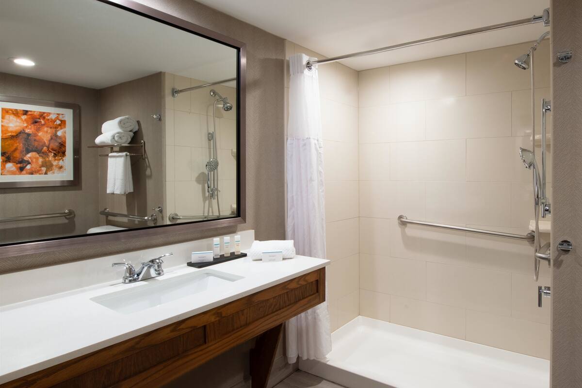 combined shower/bathtub, free toiletries, hair dryer, towels