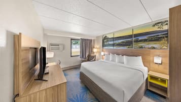 Economy Room, 1 Queen Bed | In-room safe, desk, blackout drapes, iron/ironing board