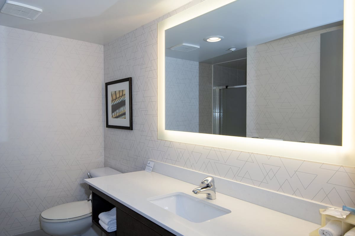 combined shower/bathtub, free toiletries, hair dryer, towels