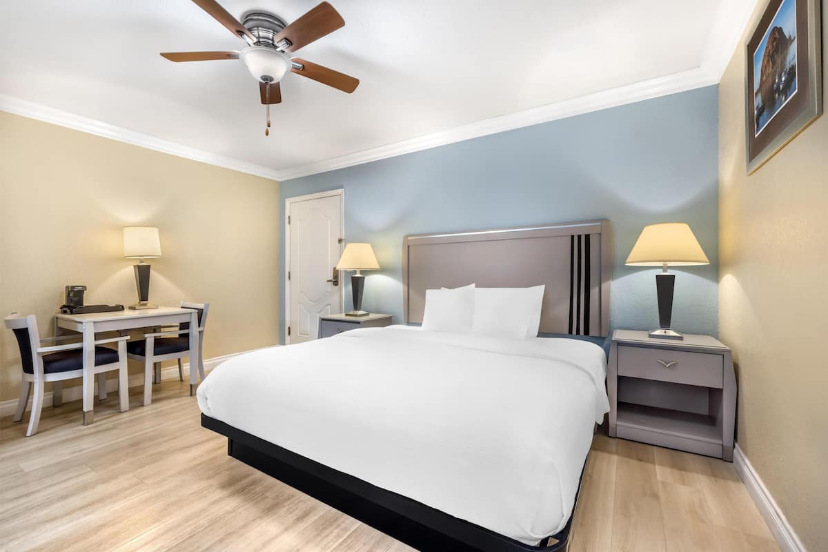 Standard Room, 1 King Bed, Accessible, Non Smoking (Walk-in Shower)