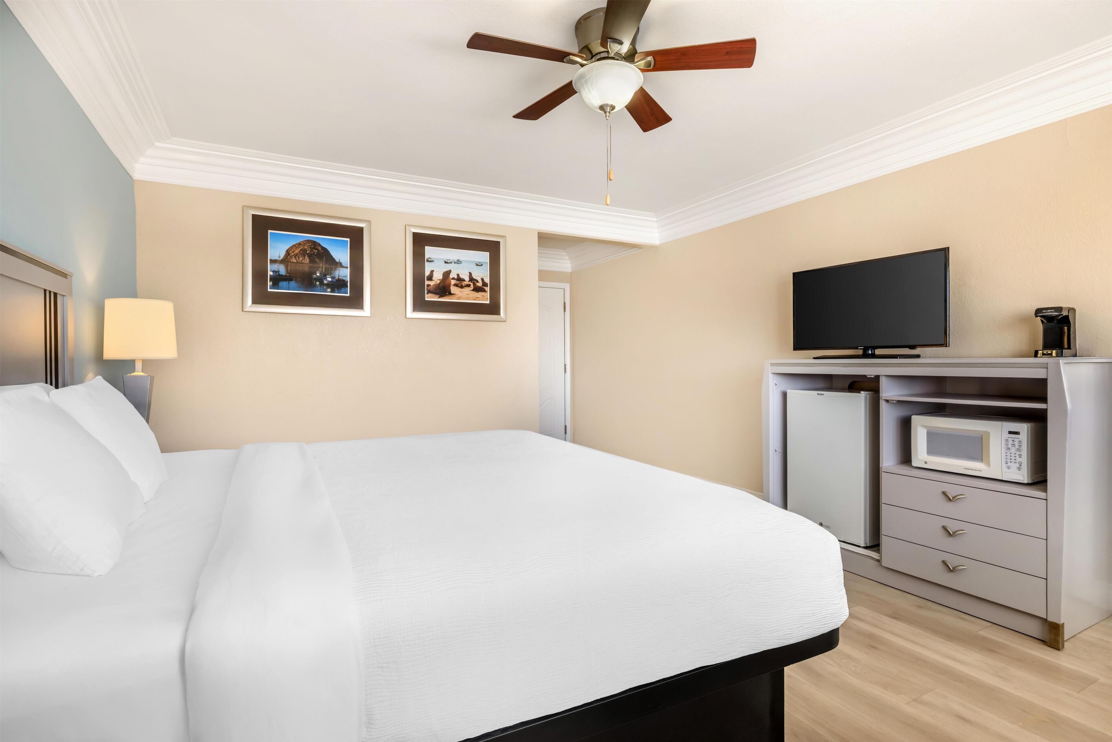 Una habitación de hotel con cama, ventilador de techo, televisión, microondas y una pequeña kitchenette.