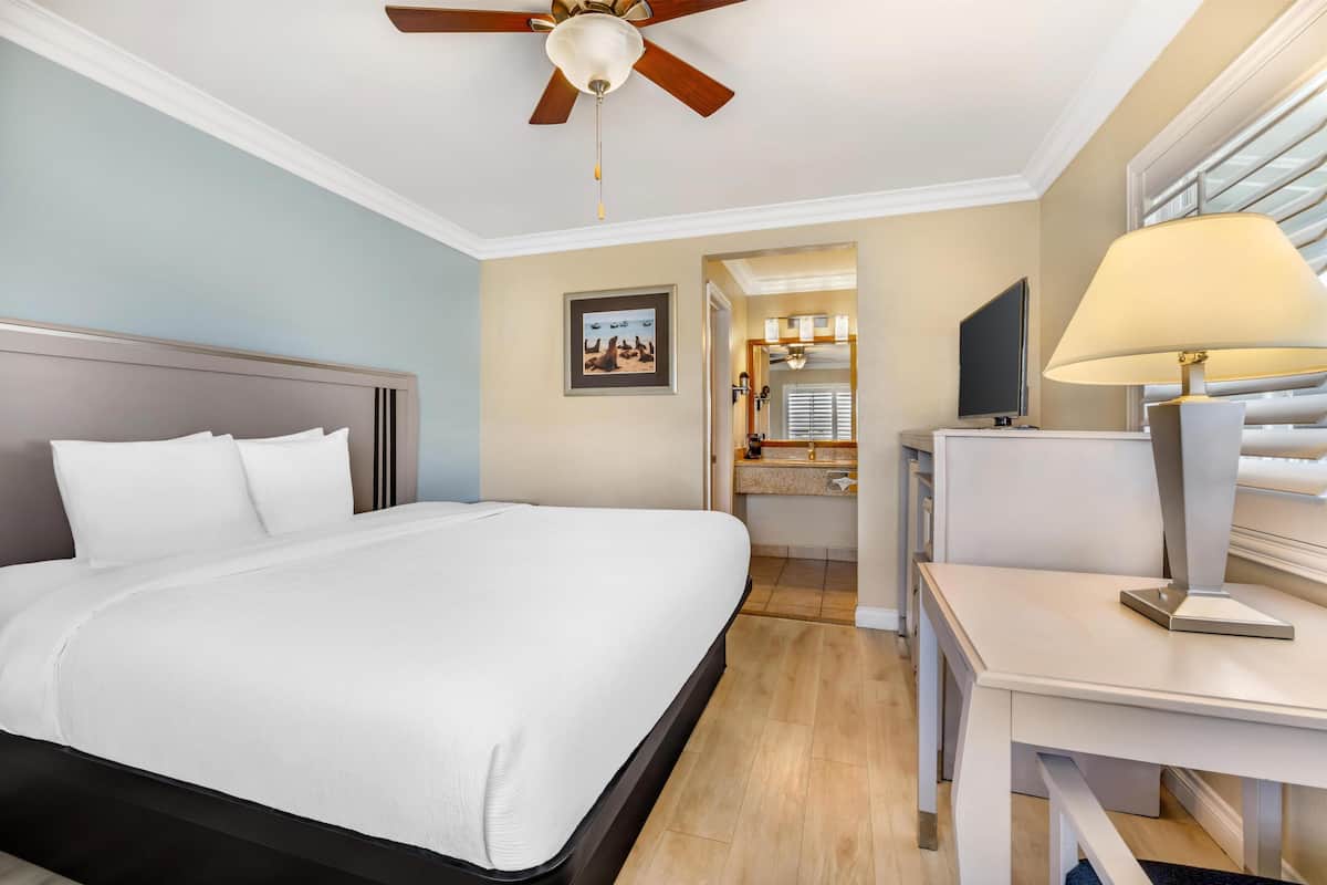 Standard Room, 1 King Bed, Non Smoking, Refrigerator