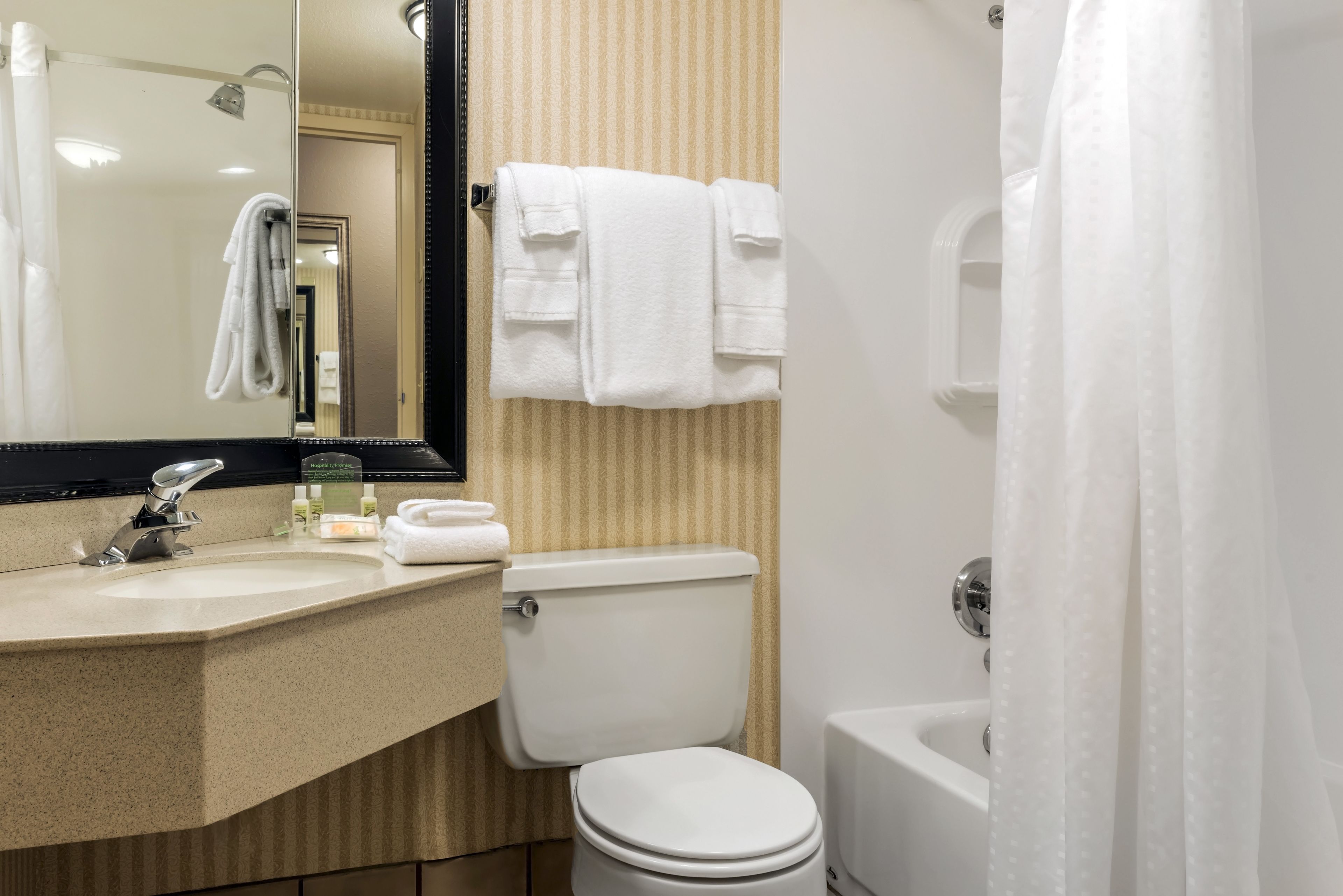 Combined shower/tub, free toiletries, hair dryer, towels