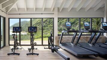 A gym with exercise equipment, large windows, and a view of greenery.