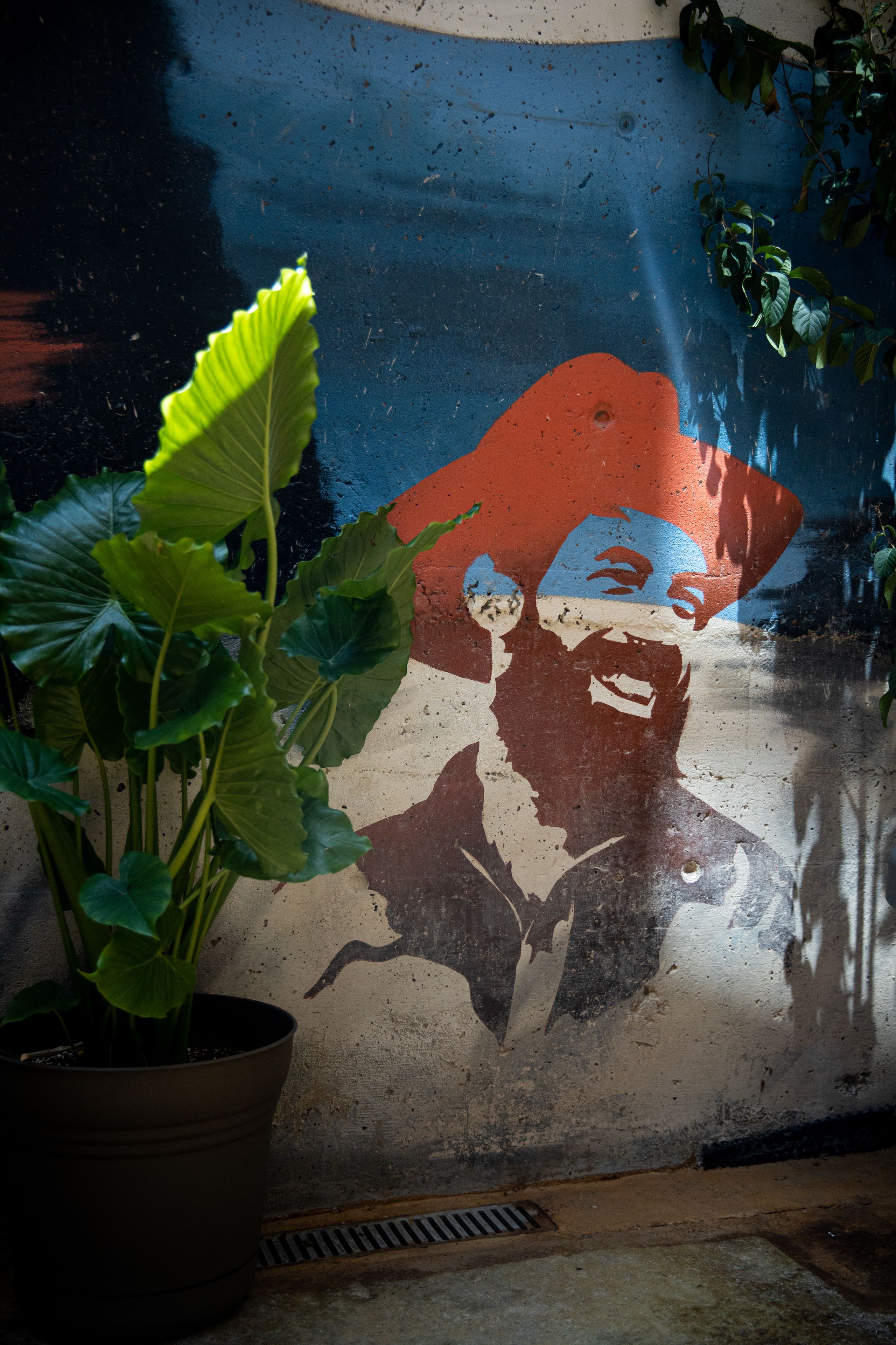 garden views, serves dinner and happy hour