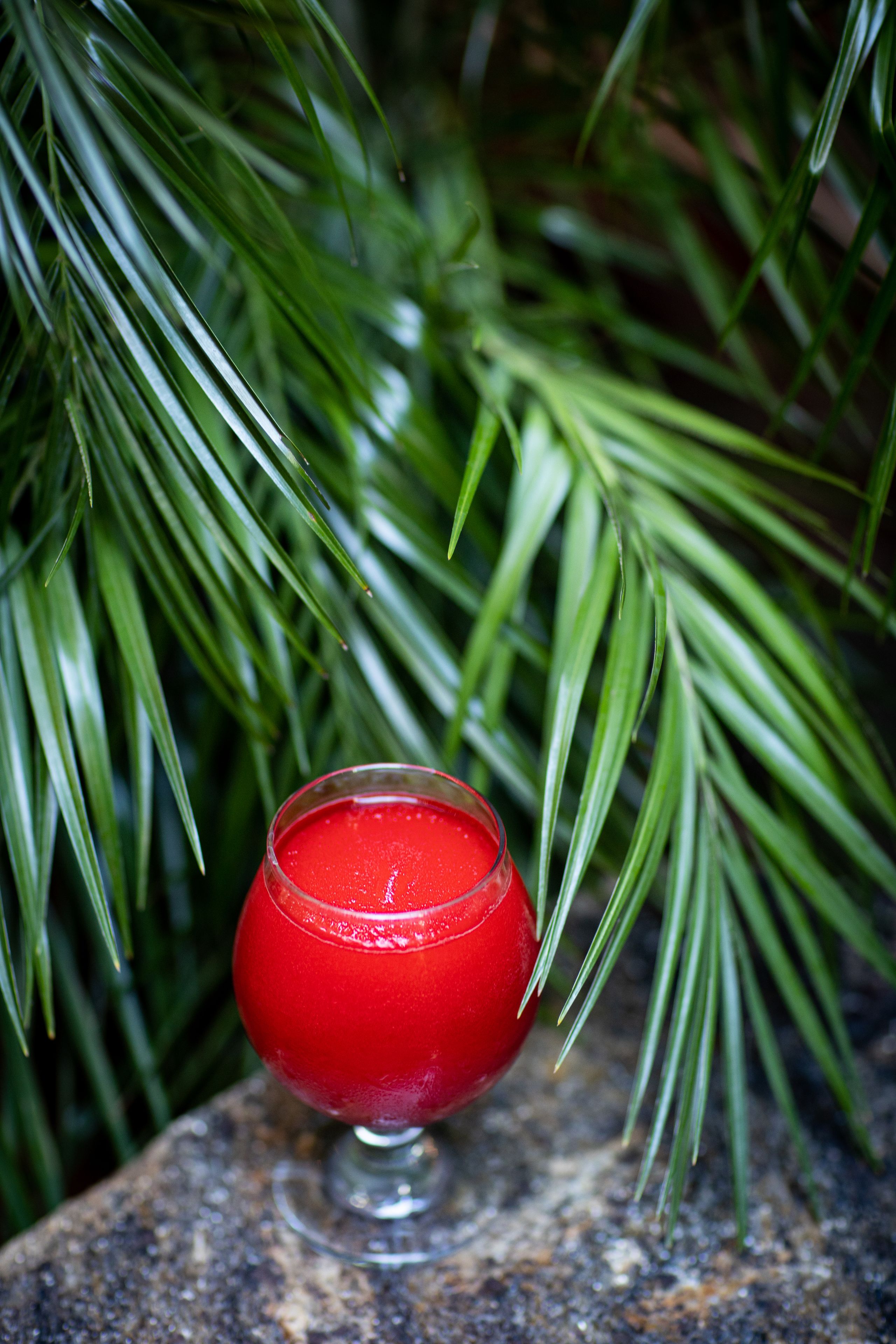 Un verre d’une boisson rouge posé sur une surface en pierre, avec un feuillage verdoyant en arrière-plan.