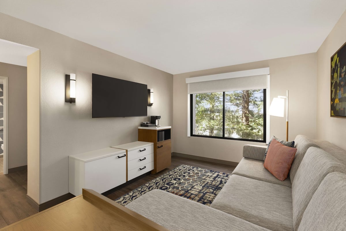 Un salon moderne avec un canapé, une table basse, un téléviseur fixé au mur et une fenêtre donnant sur des arbres.