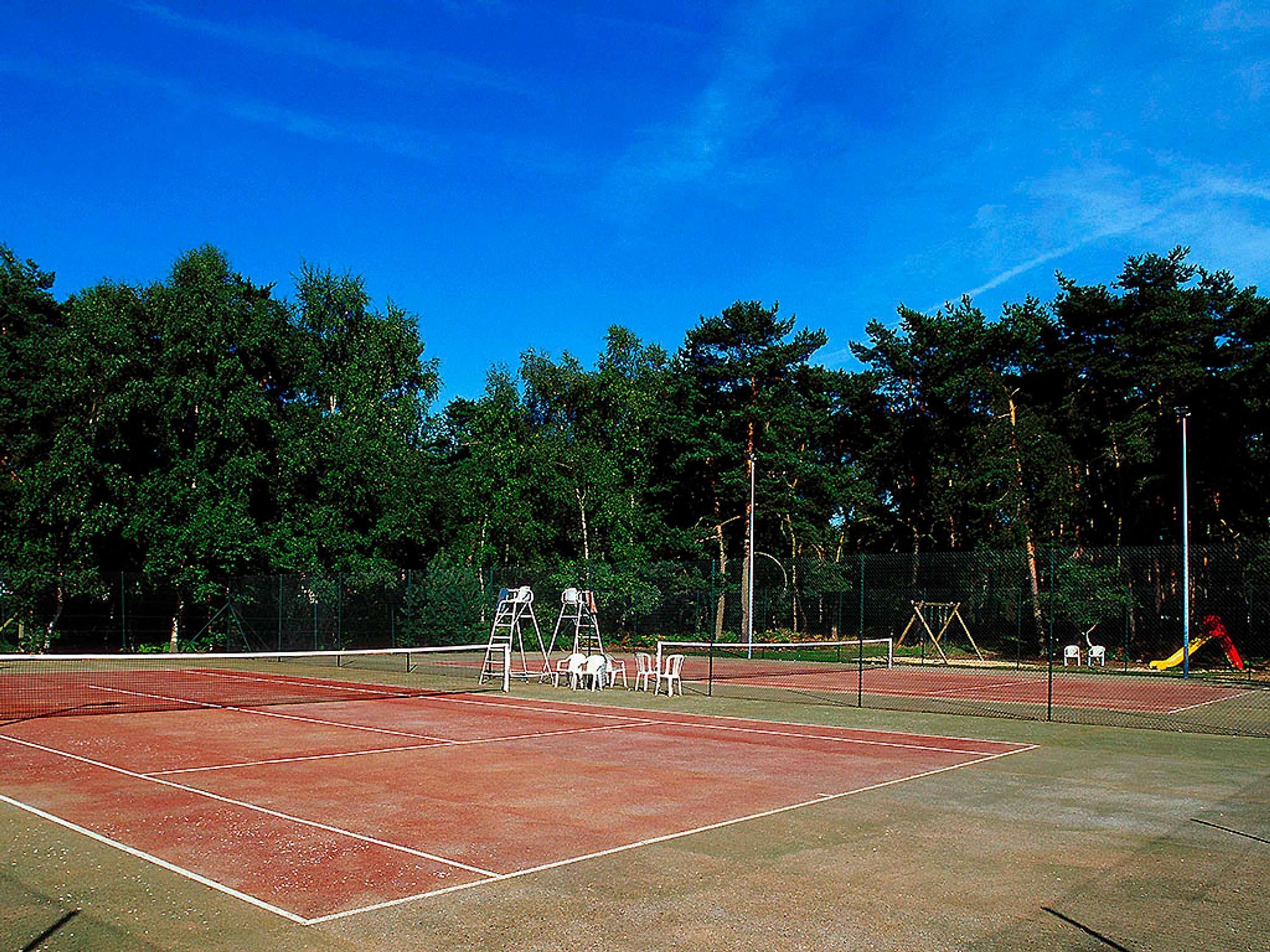 Un court de tennis en plein air, doté d’un filet, d’une zone pour les spectateurs et bordé d’arbres.